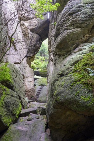 Stairs cut out of the rock at the sandstone cliffs of