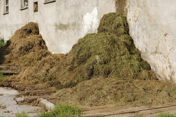 Dung heap in front of a farm