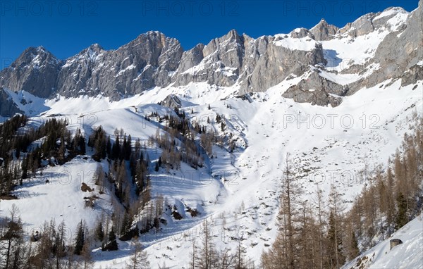 Blue sky over winter landscape