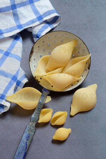 Conchiglione and small conchiglie with sieve ladle