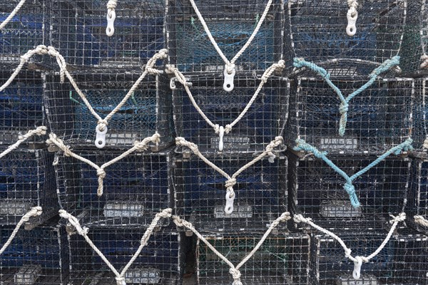 Fish traps at the quay Nieuwe Haven