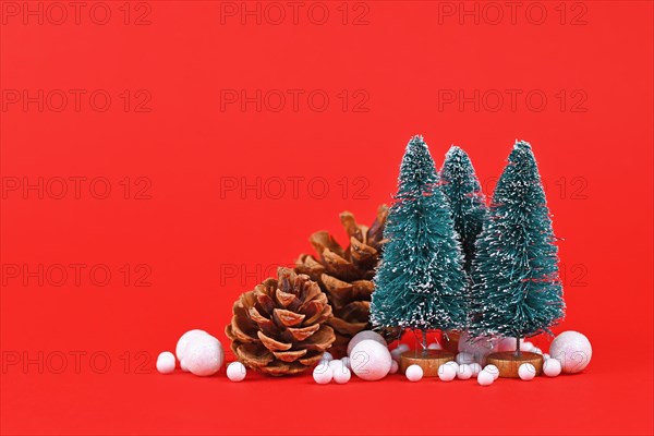 Christmas arrangement with miniature Christmas trees