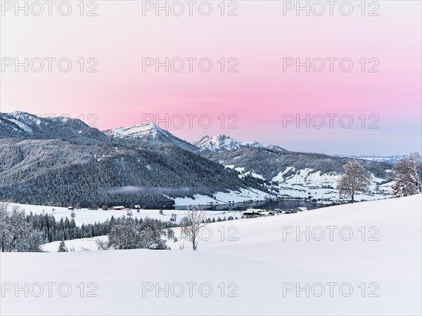 Snow-covered forest with view of Lake Aegeri behind Rigi and Pilatus