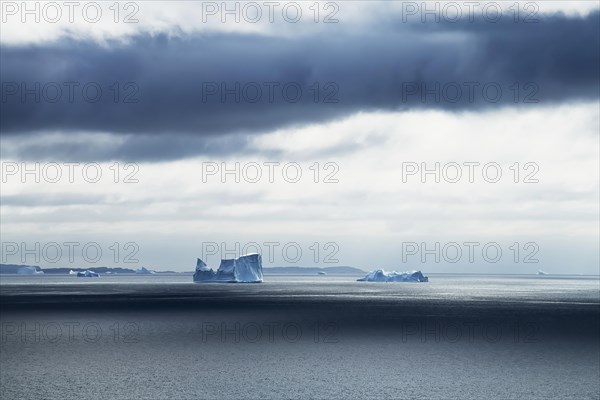 Icebergs drifting on the open sea against a dark cloudy sky