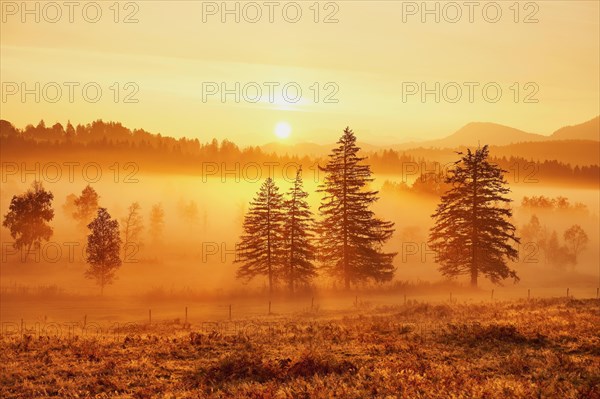 Sunrise High Moor Eigenried Zugerberg