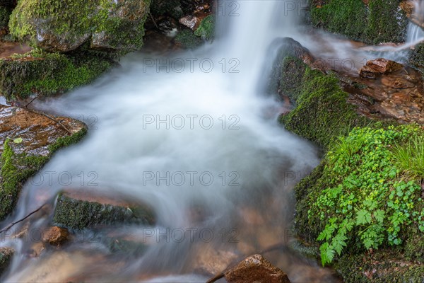Fresh and beautiful waterfalls in a mountain stream in spring. La Serva