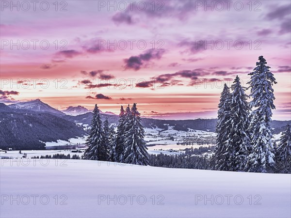 Snow-covered forest with view of Lake Aegeri behind Rigi and Pilatus