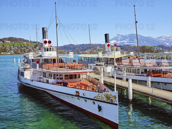 Steamship fleet from Lake Lucerne in the shipyard of Lucerne