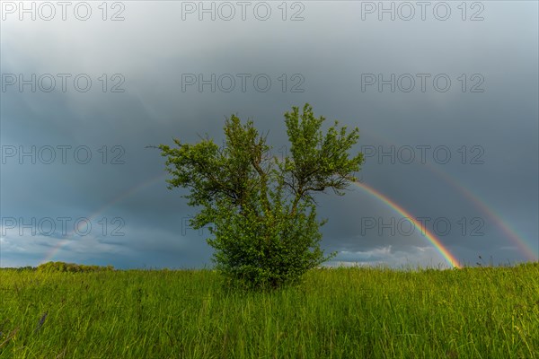 Appearance of a double rainbow in front of a late afternoon storm. Alsace