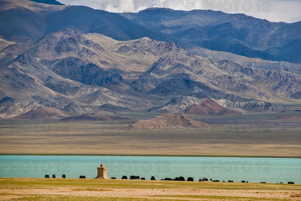 Yaks on the open wide tibetan landscape along the road from Tsochen to Lhasa