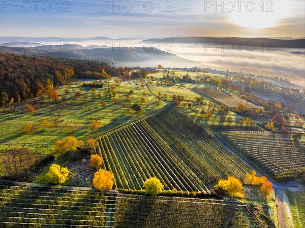 Drone view of sunrise with fog over valley Remstal