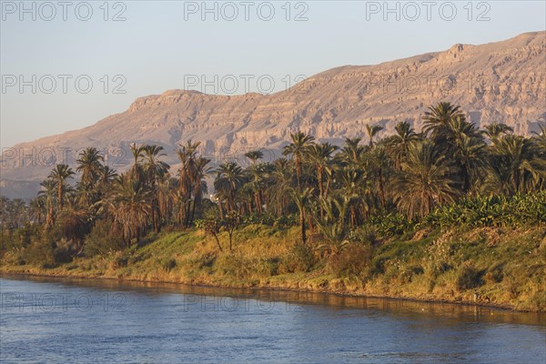 Landscape on the Nile