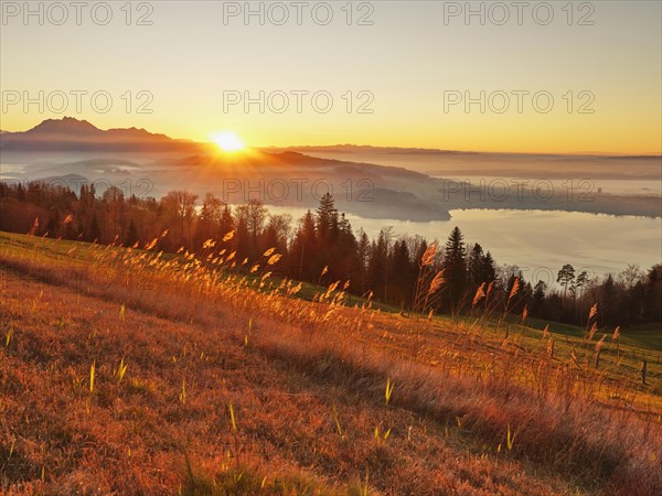 High moor at Zugerberg at sunset