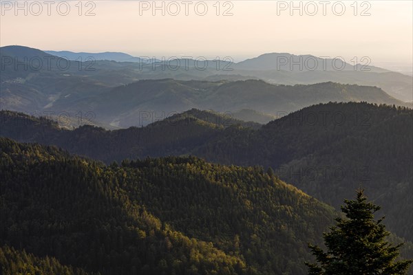 View from Schliffkopf over forest and mountains