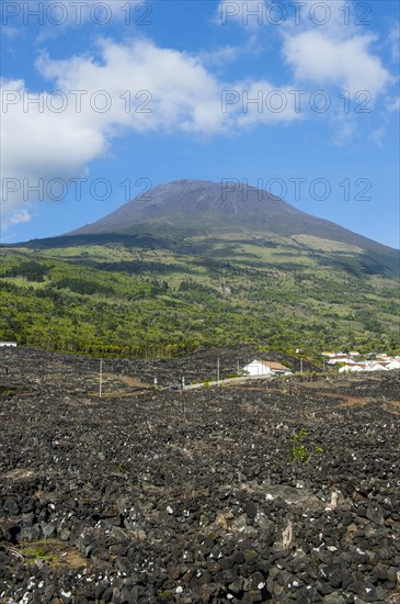 Ponta do Pico highest mountain of Portugal