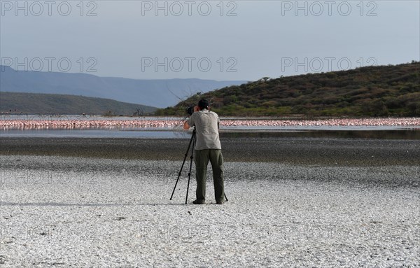 Photographer taking pictures of flamingos