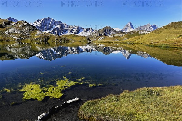 Mont Blanc and Grand Jorass reflected in Lac de Fenetre