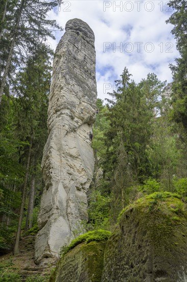 Sandstone rocks of Hruba Skala