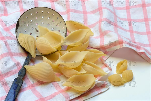 Conchiglione and small conchiglie with sieve ladle