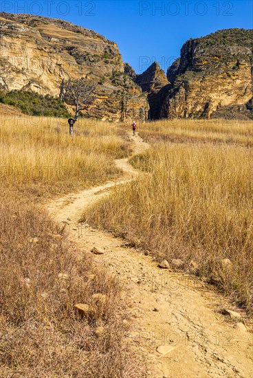 Trekker on a road going through the Isalo National Park