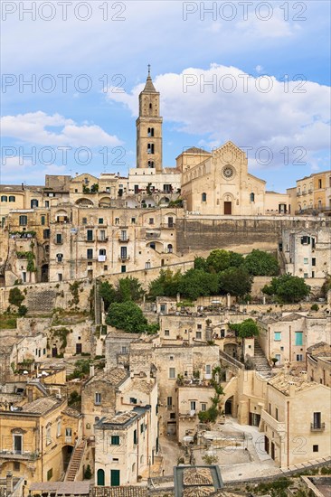 Medieval old town with cathedral