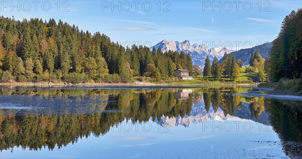 Autumnal coloured forest at the Obersee