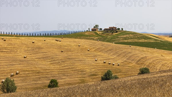 Straw bales on harvested field