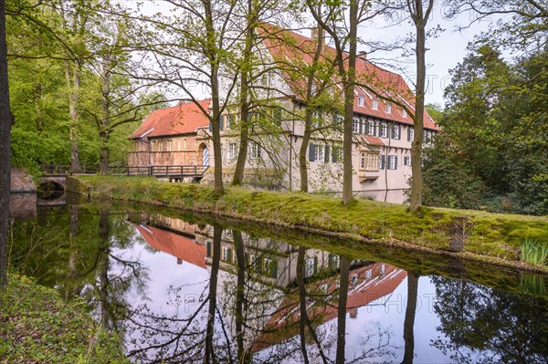 Burg Dinklage Monastery