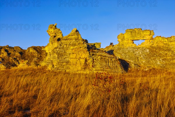 Savannah at sunset in the Isalo National Park