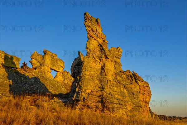 Savannah and huge rock formations at sunset in the Isalo National Park