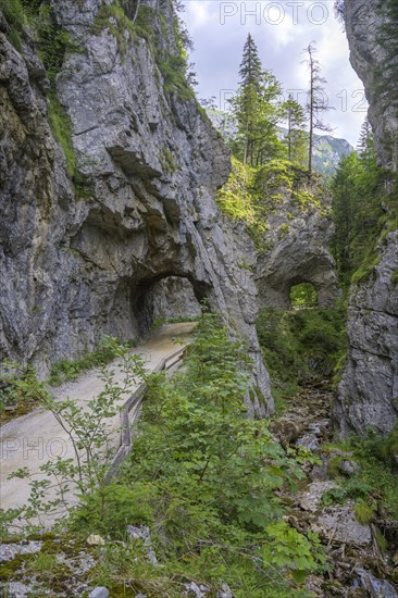 Tunnel in the gorge along the Schrottner path