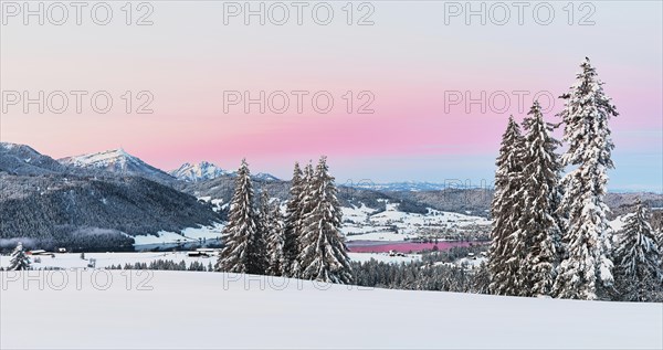 Snow-covered forest with view of Lake Aegeri behind Rigi and Pilatus