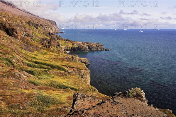 Basalt rock on the coast