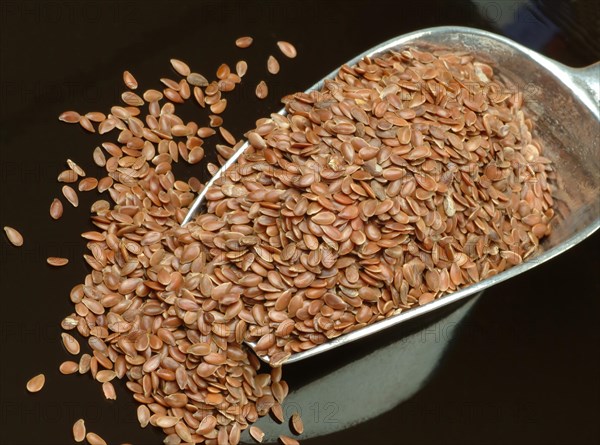 Flaxseed