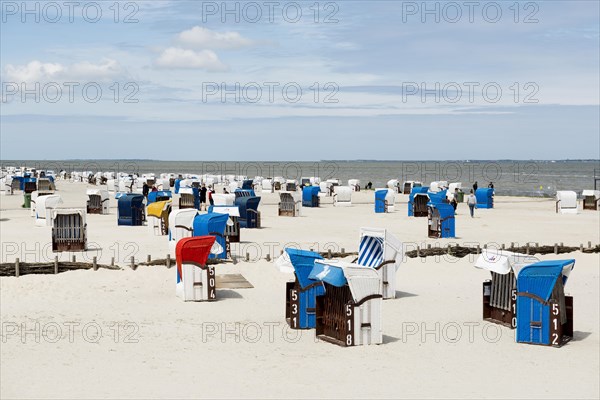 Beach chairs on the sandy beach