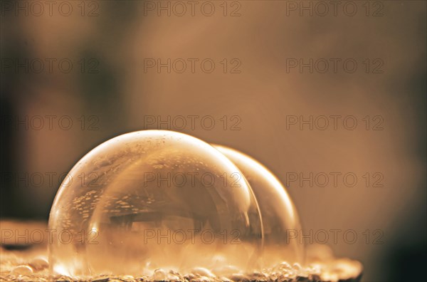 Frozen soap bubbles