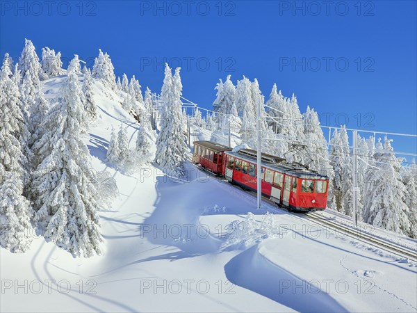 Cogwheel railway travelling through snow-covered forest