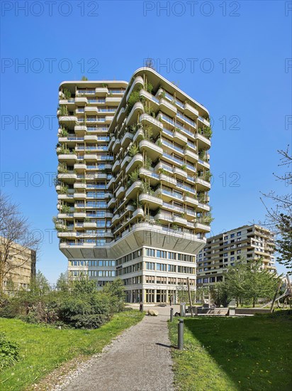 Vertical facade planting on the Aglaya residential tower