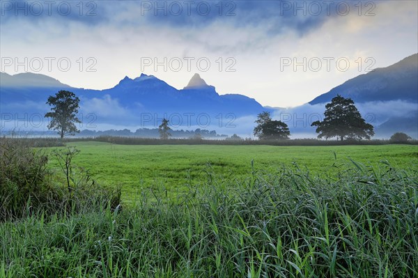 Morning atmosphere at Lake Lauerz with reed belt