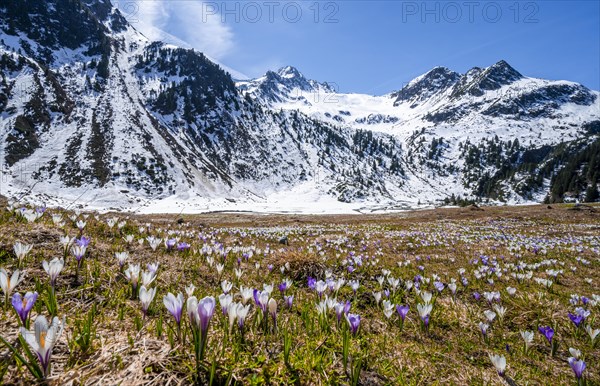 Spring in the mountains