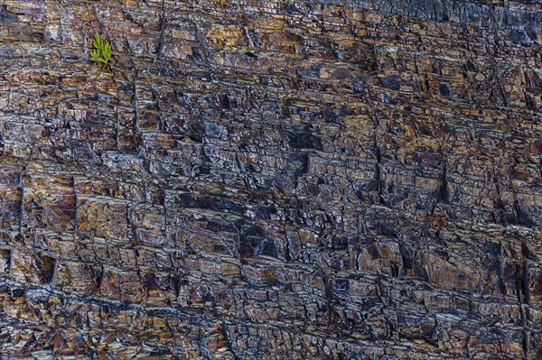 Ore-bearing rock in Forte Falcone