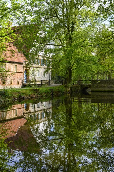 Burg Dinklage Monastery