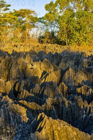 Unesco world heritage sight Tsingy de Bemaraha Strict Nature Reserve