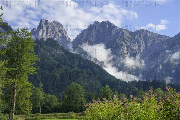 Fog shreds near Reichenstein