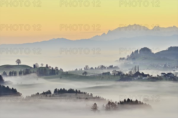 Meadows and trees in autumnal early morning mist