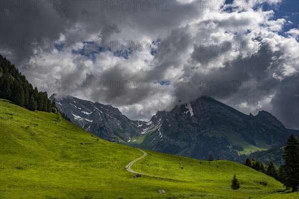 Mountain meadow with path and Altmann summit in the background