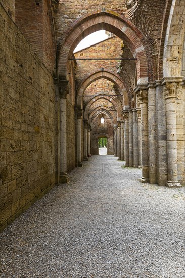 Aisle of the ruined church of the Abbey of San Galgano