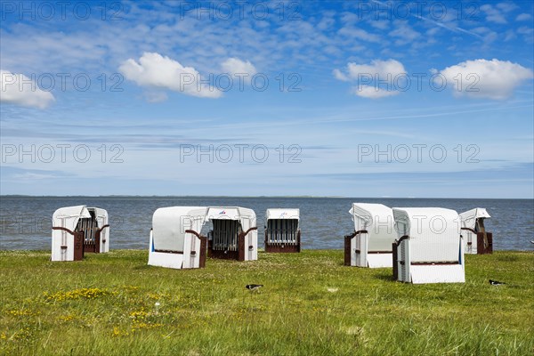 Beach chairs