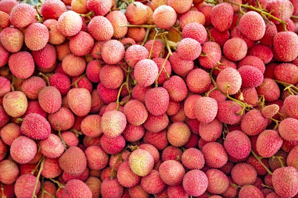 Large group of Fresh ripe litchi