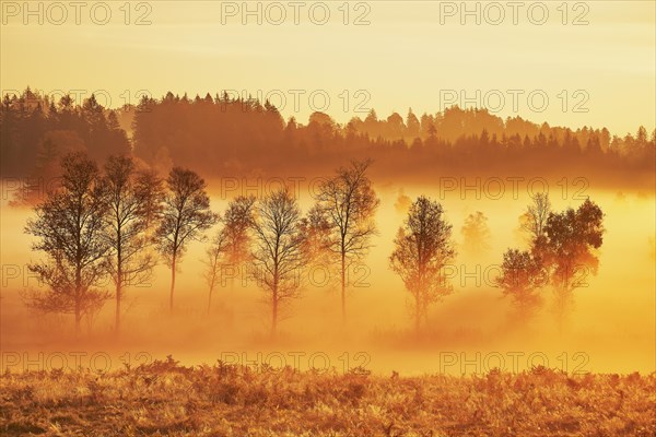 Sunrise High Moor Eigenried Zugerberg